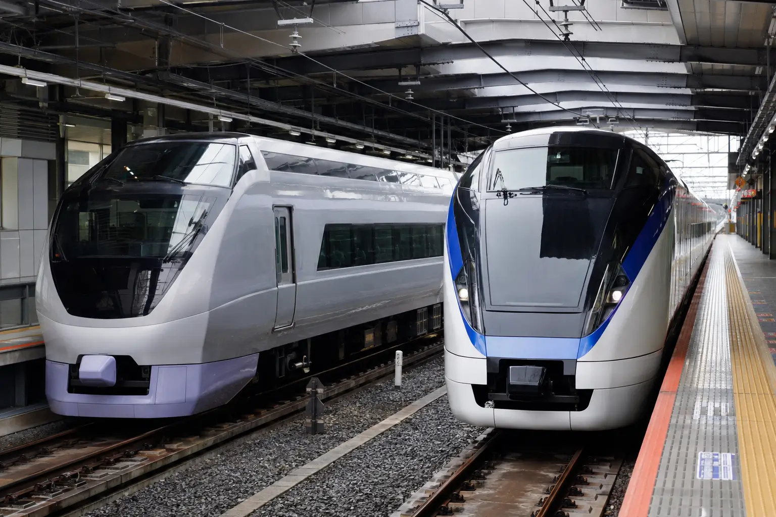 Narita Express and Keisei Skyliner airport trains compared