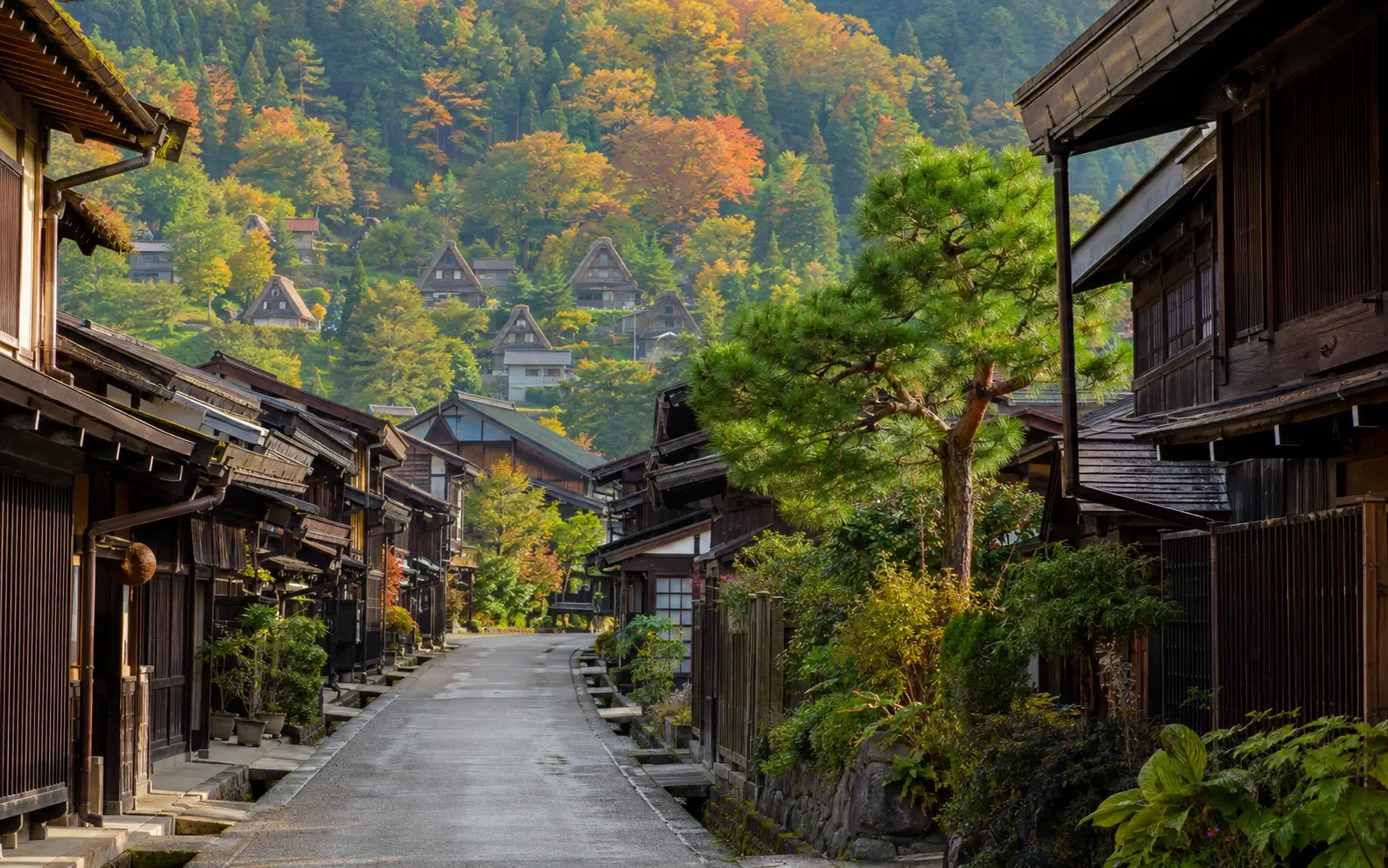 Takayama and Shirakawa-go mountain region during a three-week Japan itinerary
